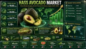 Hass Avocado Market
