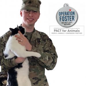 Service member in U.S. Army camouflage uniform holding a black-and-white cat, alongside the Operation Foster logo and the tagline "No Pet Left Behind." The image highlights Operation Foster's mission of providing temporary foster care for pets of deployed