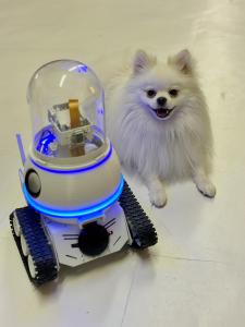 Representation of WIMZ AI Robot turned on Next to the White Pomeranian who is extremely excited about the device.
