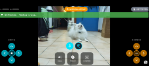 The WIM-Z app lets owners view live video, start training missions, speak to their dog, control the robot, and trigger treat rewards.