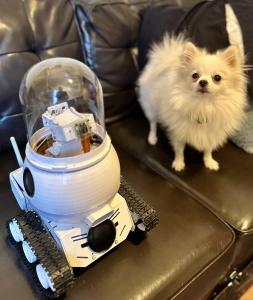 WIM-Z combines live monitoring, on-device AI, owner voice, sound cues, movement, and treat rewards to support dogs at home.