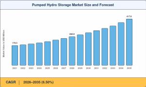 Pumped Hydro Storage Market Summary