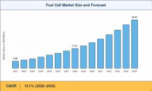 Fuel Cell Market Summary