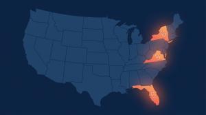 Editorial illustration of US map with FL, NY, and VA highlighted in coral gradient, stethoscope icons over each state. RexVet veterinary telehealth.