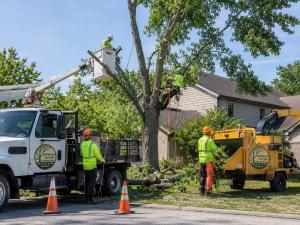  Josh Newsome’s Tree Surgery crew providing tree removal service in the Muncie Indiana area