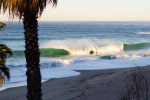 Thalia Street Beach Break