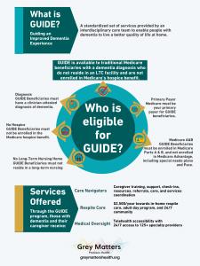 Grey Matters Health explains the new Medicare GUIDE Program in this overview
