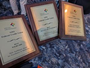 Awards shown for Best Integrated Marketing Campaign, Best Return on Investment, & Best Wildcard