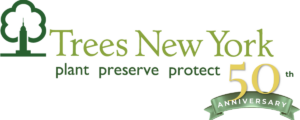Trees New York 50th Logo