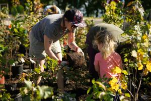 woman pulling plant from pot with child to plant in miniforest