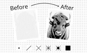America Monochrome Color by Number: 50 States Coloring Book pic 4