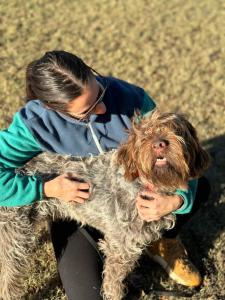 Off Leash K9 Training San Antonio, TX