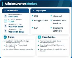 AI in Insurance Market Size