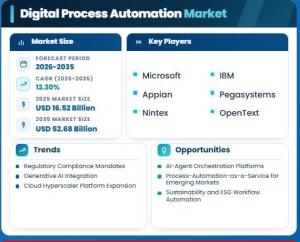 Digital Process Automation market Size