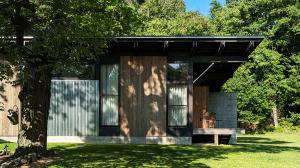 A modern house with large windows and wooden siding surrounded by a garden with green grass, a large leafy tree on the left, under a clear blue sky.