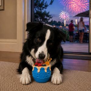 How to Help Your Dog Stay Calm During Fireworks: A Complete July 4th Preparation Guide