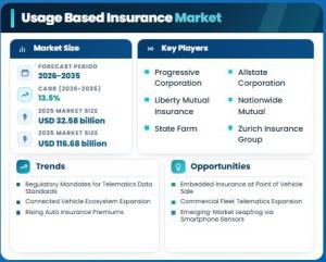 Usage-Based Insurance Market Size