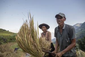 Reisen nach Vietnam und Kambodscha
