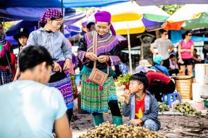 Reisen nach Vietnam und Kambodscha