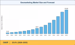 Geomarketing Market Size