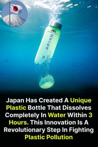 Recycled Plastic Market Growing Demand