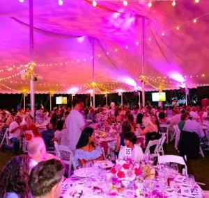 Images from the 36th Annual SOFO Summer Gala (2025) (Photo Credit: Society Allure / Rob Rich)