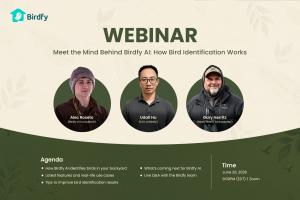 Birdfy holds a tech-themed webinar to introduce the new birdwatching AI and its latest identification features.