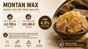 Montan Wax Market