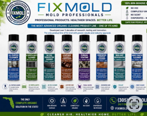 Removing mold, mildew, and bacteria from non-porous surfaces