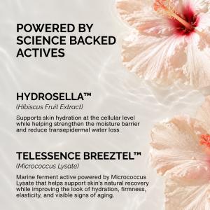 Graphic highlighting Hydrosella™ hibiscus extract and Telessence Breeztel™ Micrococcus Lysate in Botanical Hydration.