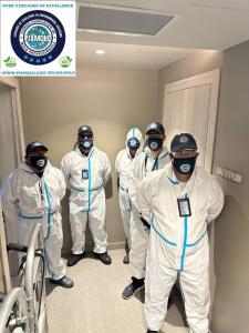 Certified mold inspection services for South Florida residential properties