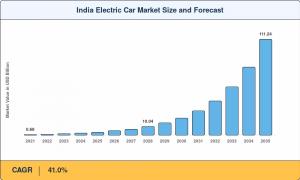 India Electric Car Market Summary