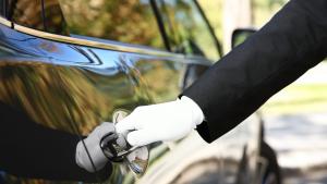 private driver Italy