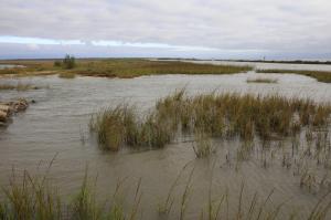 Brazoria National Wildlife Refuge