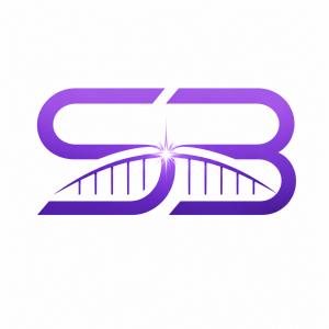 Stellar Bridge Solutions logo — purple SB monogram with bridge and starburst — Connecting Ideas and Building Futures