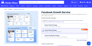 Media Mister Facebook Growth Service