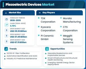 piezoelectric devices market size