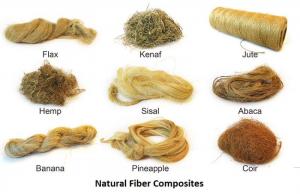 Natural Fiber Composites Market Rising Demand