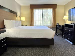 Modern guest room with king bed following a renovation project by Level 3 Construction at the Best Western Escondido Hotel.
