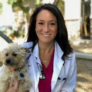 Dr. Alycia Bille at her practice of in home pet euthanasia in Nashua