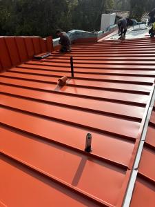 Metal Roof