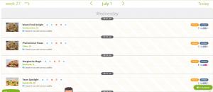 SeoSamba LocalEko Social Media Post Example Grid