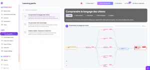 learning paths