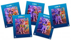 A selection of 5 trading cards each featuring a future guide or service dog puppy wearing a yellow vest with a DC logo on the front, with a colorful comic strip backdrop, and a gradient blue border with the GDA | TLC and DC logos.