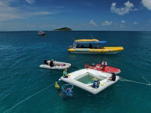 A group of scientists and community members use a portable larval collection pool for coral larval reseeding efforts. Credit: Johnny Gaskell