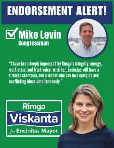 Graphic of Levin endorsement announcement