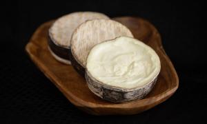 Soft washed-rind cheese wheels with a washed rind