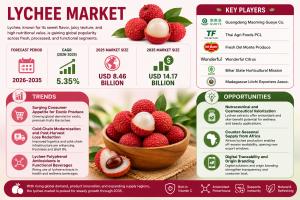 Lychee Market