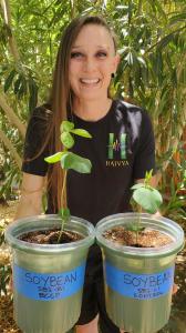 Andrea Ott-Dahl holding BCCP treated and control soybean plants.