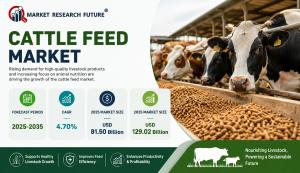 Cattle Feed Market